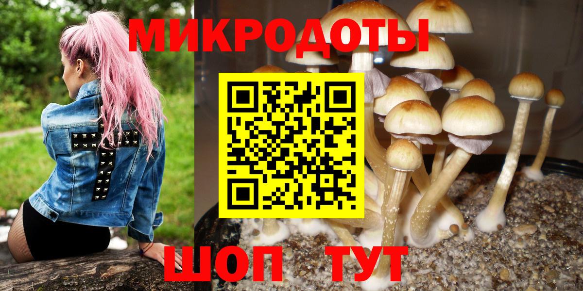 Галлюциногенные грибы Magic Shrooms  Вход с VPN  Комсомольск-на-Амуре 