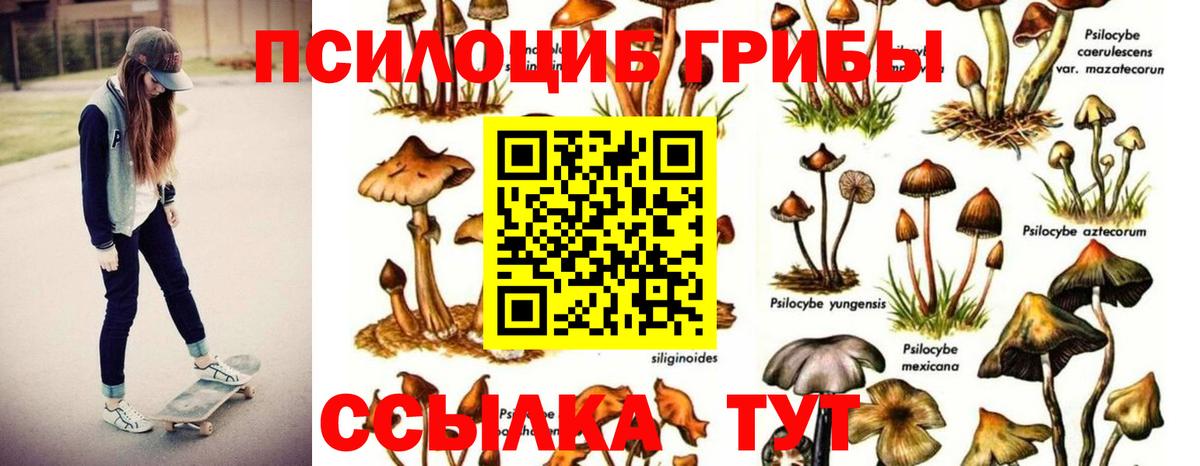 Галлюциногенные грибы Cubensis Комсомольск-на-Амуре